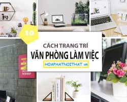 10 ý tưởng trang trí văn phòng làm việc đẹp mắt