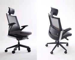 ghế công thái học là gì
